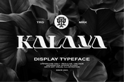 Kalaya - Free Serif Typeface