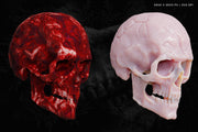 Skull Renders - 35 3D Renders - Pixel Surplus