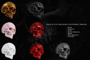 Skull Renders - 35 3D Renders - Pixel Surplus