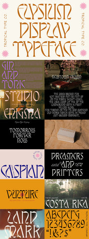 The Eclectic Display Font Bundle