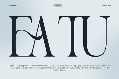 TBJ Nord Poem | Classic Roman Serif