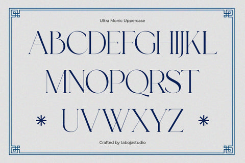 TBJ Ultra Monic | Serif Display