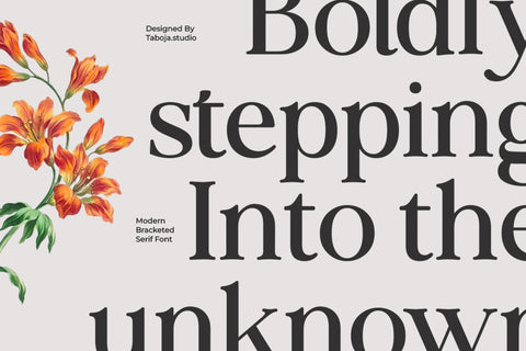 TBJ Siromi Modern Serif