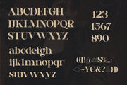 TBJ Cufatte | Elegant Serif