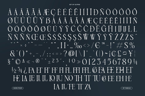 TBJ Nord Poem | Classic Roman Serif