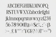 TBJ Olivia Nineties Classy Serif