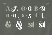 TBJ Sodabery | Serif Font