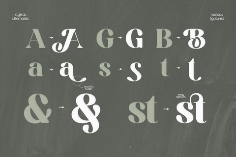 TBJ Sodabery | Serif Font - Pixel Surplus