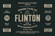 FLINTON Font Bundle