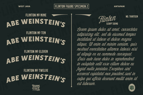 FLINTON Font Bundle