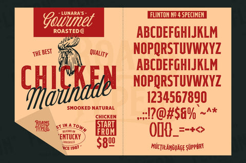 FLINTON Font Bundle