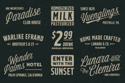 FLINTON Font Bundle