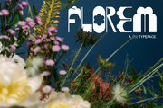 Florem - Free Display Typeface