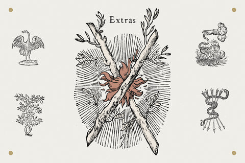 Fratelli Serif font Extras