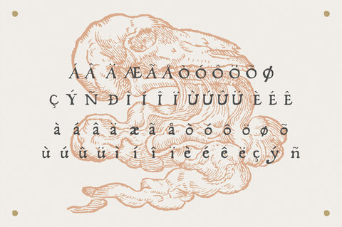 Fratelli Serif font Extras