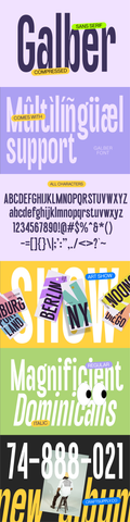 The Diverse Sans Serif Collection