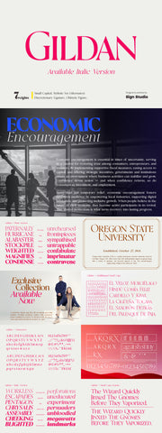 The Striking Serif Font Collection