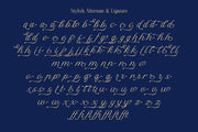 DT Escape Memories - Font Duo