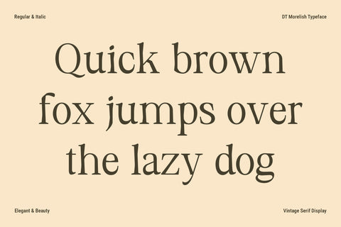 DT Morelish - Serif Display