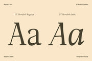 DT Morelish - Serif Display