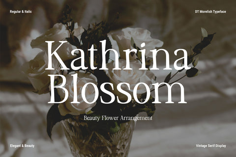 DT Morelish - Serif Display