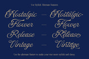 DT Escape Memories - Font Duo