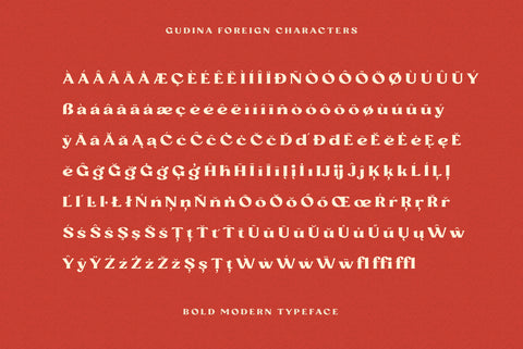 Gudina Serif