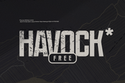 Havock - Free Semi-Condensed Sans Serif Font