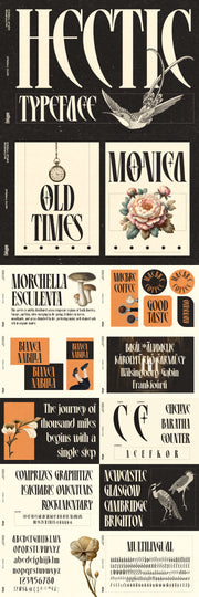 The Striking Serif Font Collection