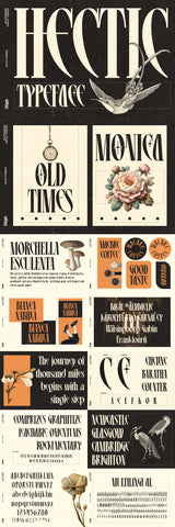 The Striking Serif Font Collection