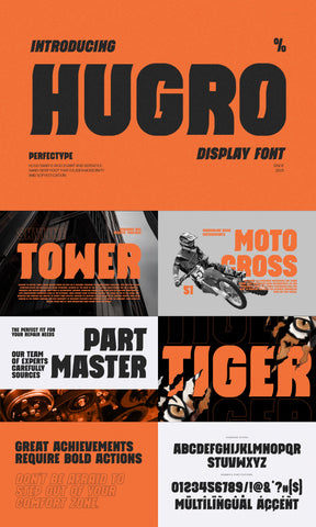 The Need For Speed Font Bundle