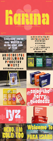 The Big & Bold Display Font Bundle