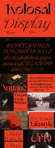 The Eclectic Display Font Bundle