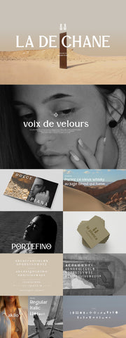 The Striking Serif Font Collection