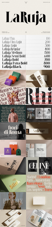 The Unique Serif Font Bundle