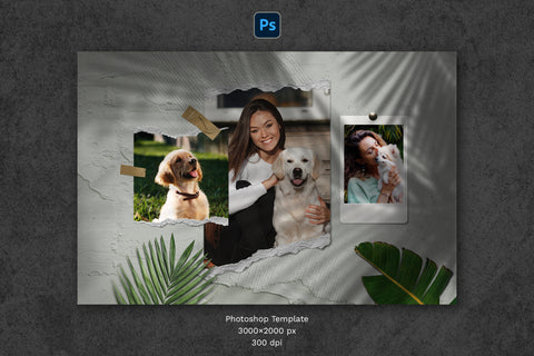 Torn Photo Template