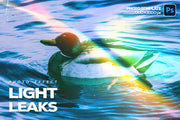 Light Leaks Photo Overlays