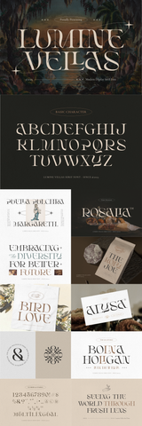 The Unique Serif Font Bundle