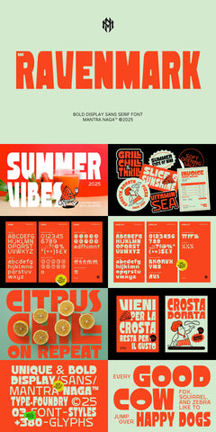The Big & Bold Display Font Bundle