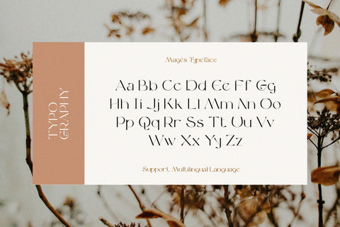 Magès - Modern Serif Typeface