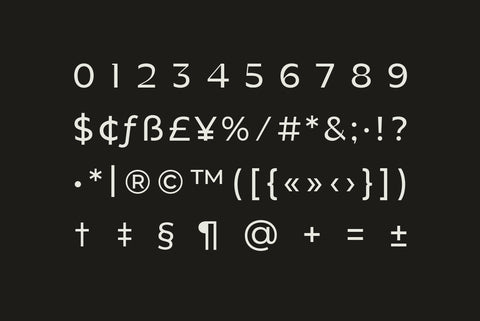 Manisans Display Font Family - Pixel Surplus