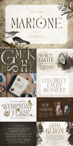 The Unique Serif Font Bundle