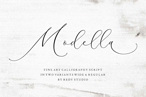 The Contemporary Calligraphy Font Bundle