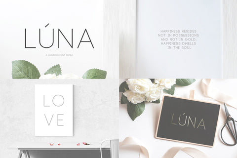 Modern Font Bundle - Clean Sans Font