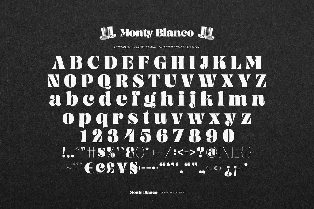 Monty Blanco - Classic Bold Serif - Pixel Surplus