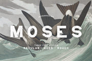 Moses Display Grotesque Typeface