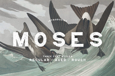 Moses Display Grotesque Typeface