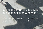 Moses Display Grotesque Typeface