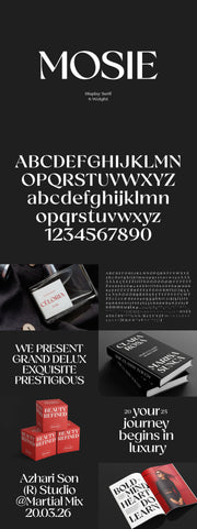 The Striking Serif Font Collection