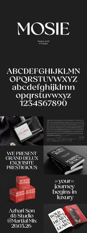 The Striking Serif Font Collection